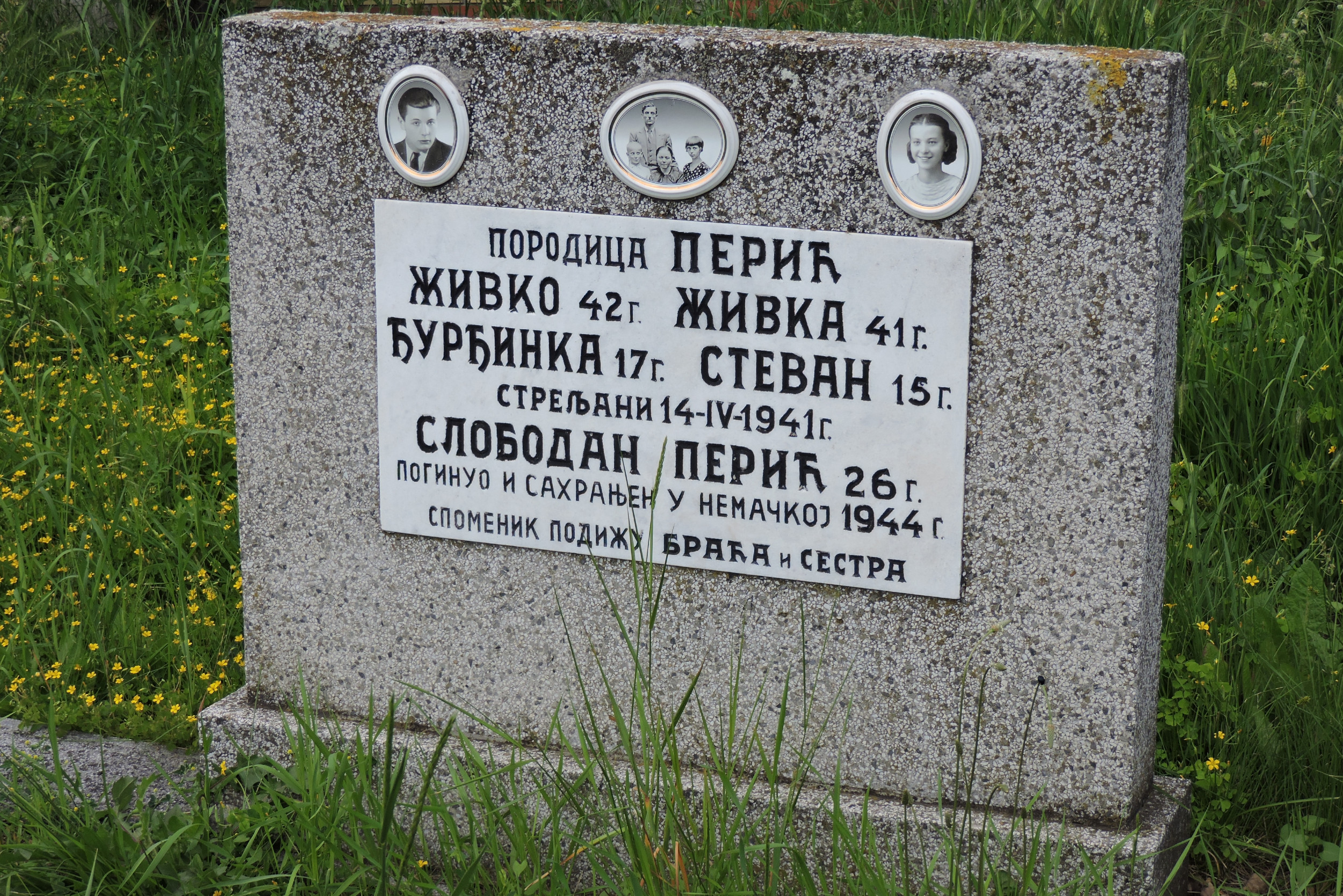 Nadgrobni spomenik porodice Perić na Almaškom groblju u Novom Sadu (Foto: Đorđe Srbulović/Novi Standard)