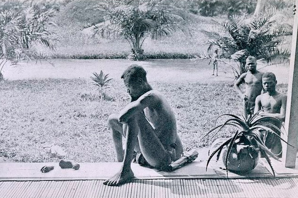 Osakaćeni Kongoanac zuri u odsečene delove svoje petogodišnje kćerke, koja je ubijena zbog toga što je sakupila premalo kaučuka, 1904. (Foto: Wikimedia/Alice Seeley Harris/John Hobbis Harris)